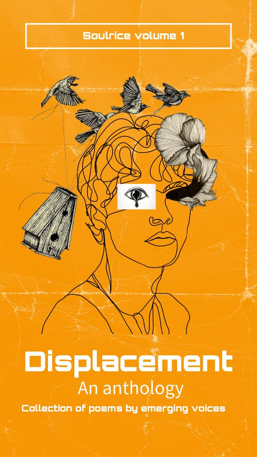 Soul Rice Issue 1: Displacement